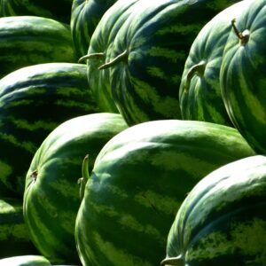 melons-water-melons-fruit-green-59830-59830.jpg